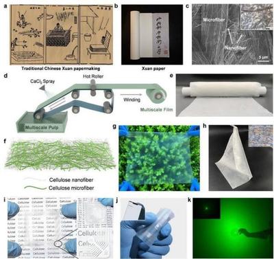 中國科學(xué)技術(shù)大學(xué)引領(lǐng)創(chuàng)新 新型柔性顯示膜材料問世，開啟顯示技術(shù)新篇章