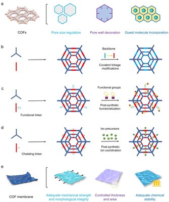 新型共價(jià)有機(jī)框架膜材料突破能源儲存與轉(zhuǎn)換瓶頸——記天津科技大學(xué)輕工科學(xué)與工程學(xué)院司傳領(lǐng)團(tuán)隊(duì)的重要研究進(jìn)展