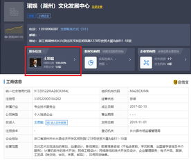 王思聰再被限制消費，計算機軟件技術開發(fā)背后的法律警示